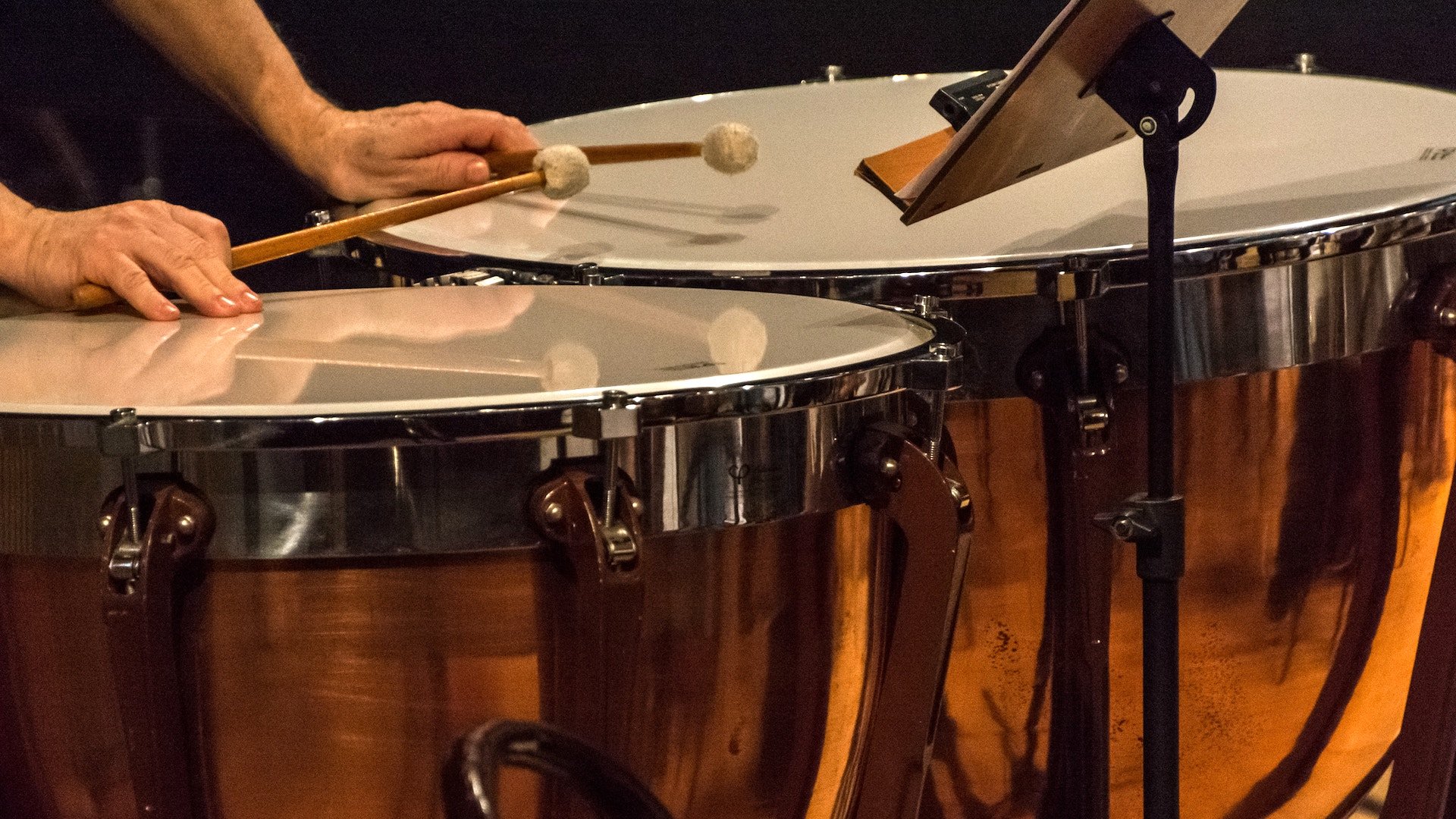 Studies Tuned Percussion, Snare Drum and Timpani